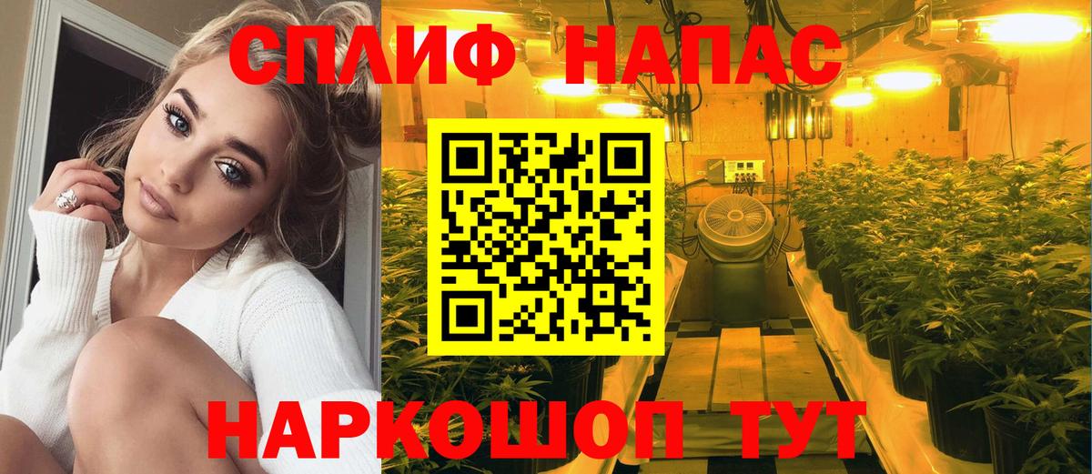 Марихуана конопля  Вход с VPN  Ростов Великий  Бошки Шишки Ganja  МАРИХУАНА Bruce Banner  Каннабис AK-47 